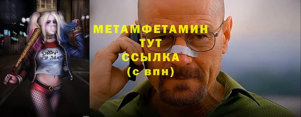 прущие грибы Новозыбков