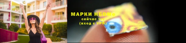 МДПВ Новокубанск