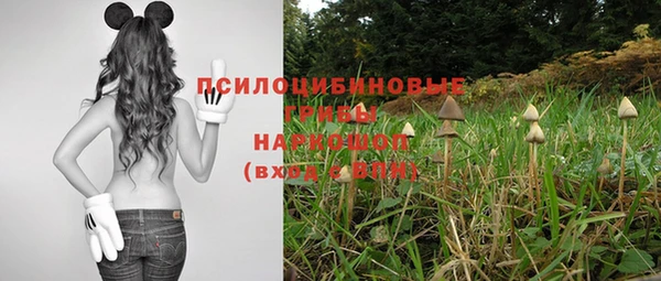 мдпв Армянск