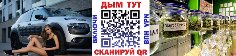 купить наркоту  Приозерск  Конопля ГИДРОПОН 